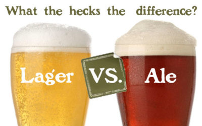 Phân biệt bia ale và bia lager
