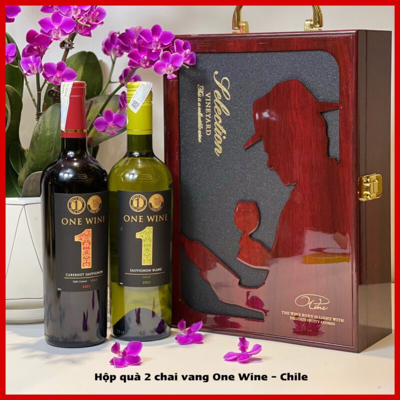 vang One Wine – Chile