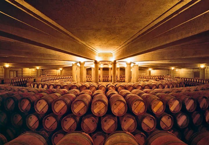 Hầm rượu Château Lafite Rothschild